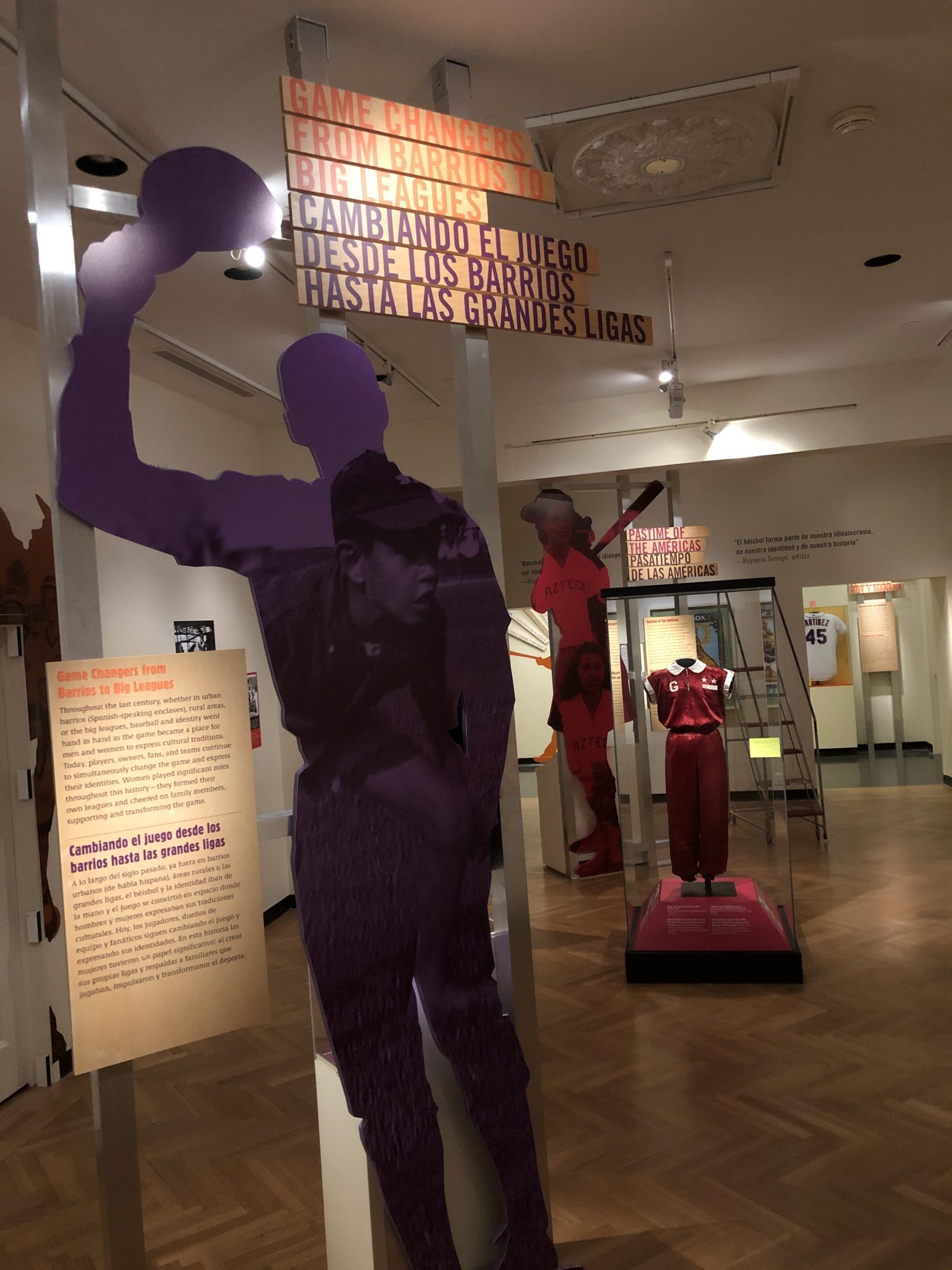 Mounted signage, wall murals, and dimensional cutouts are all part of museum graphics.