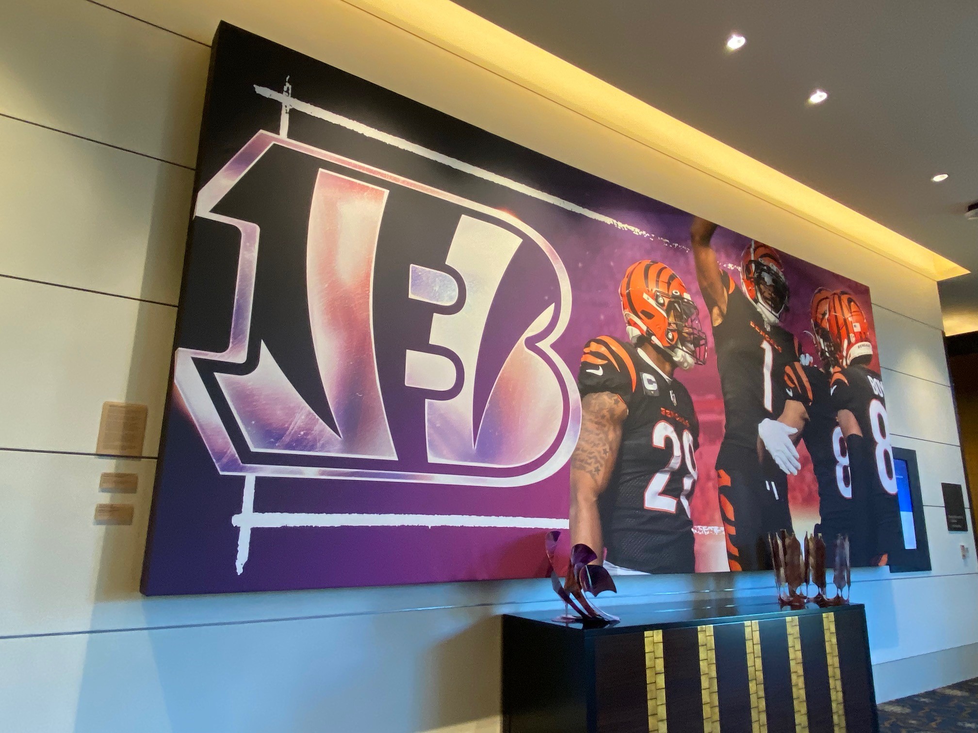 Super Bowl 56 Bengals Team Hotel