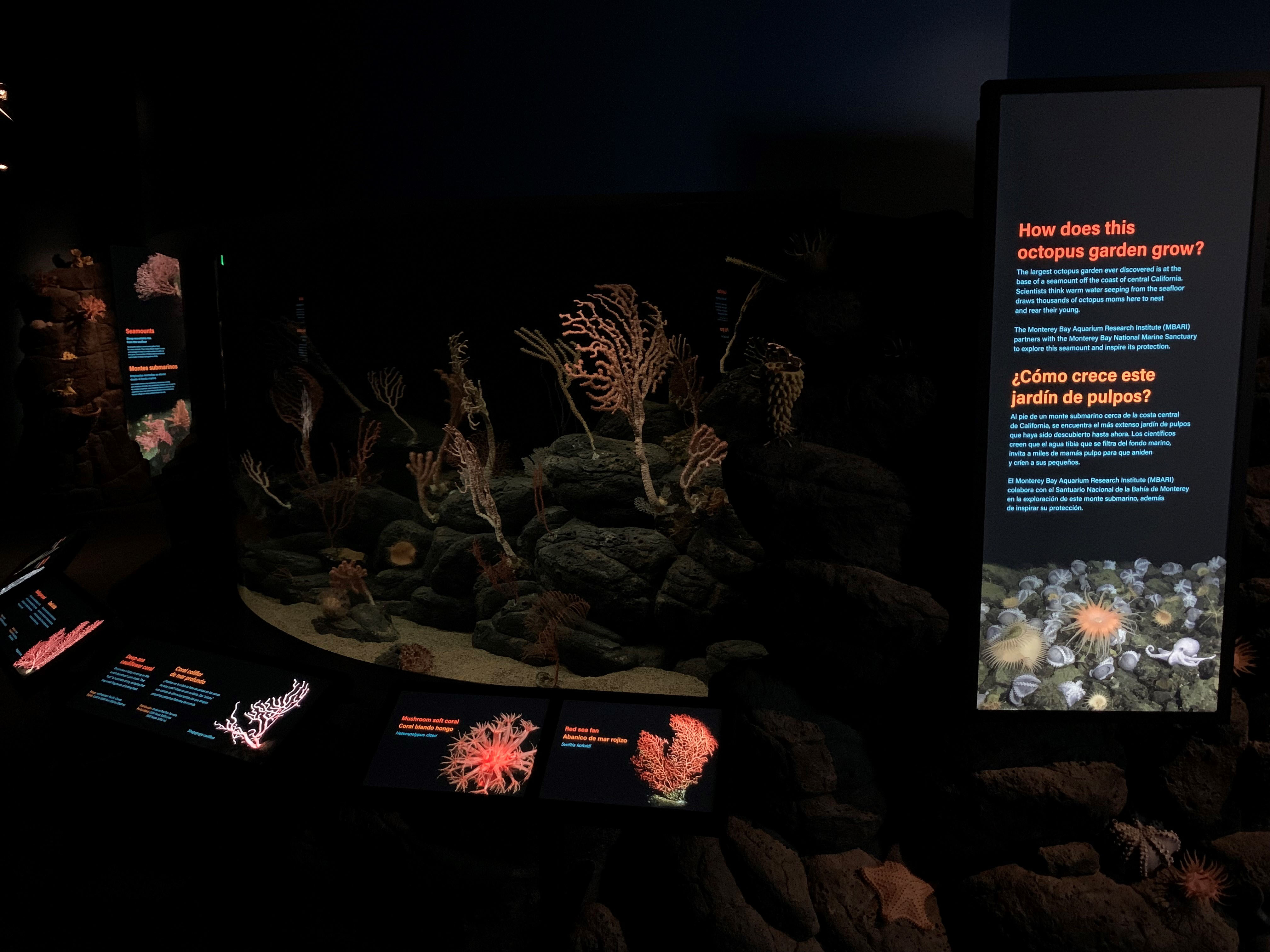 Backlit exhibit that is part of Into the Deep at the Monterey Bay Aquarium.